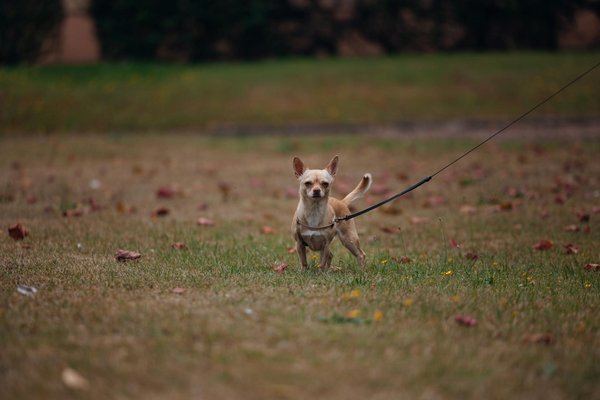 Exploring how uk schools cultivate eco-consciousness among students